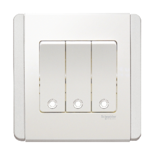 SCHNEİDER  NEO - 250V 10A  3