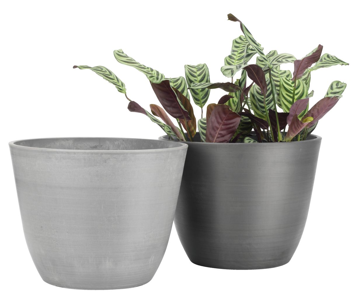 6402400 Dibçək HVEPS 