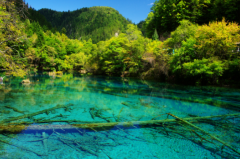 Deco_39244921 Mənzərə