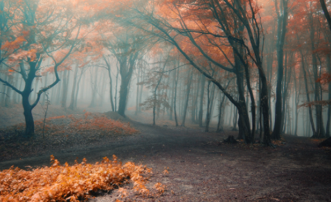 Deco_47808574 Mənzərə