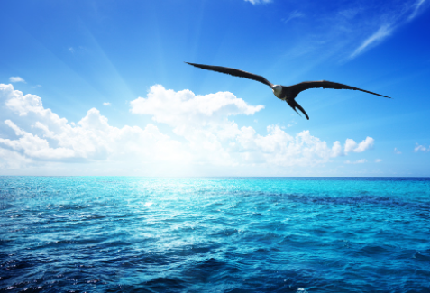 Deco_50608024 Mənzərə