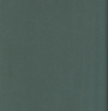 Rp-9814 Moonlight Yeşil keramika 